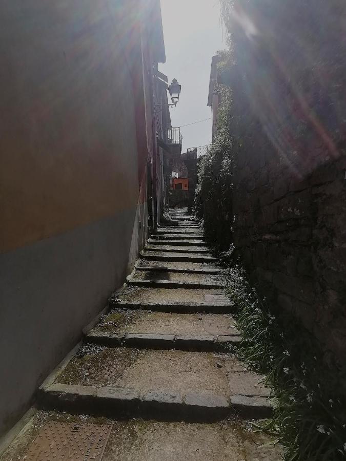 Da Greta Villa La Spezia Buitenkant foto