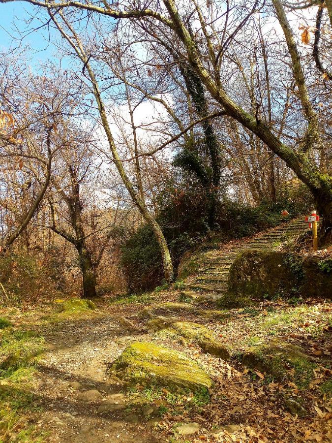 Da Greta Villa La Spezia Buitenkant foto